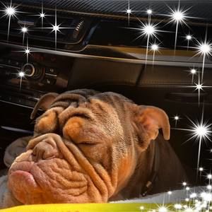 Meet your Posher, Cece